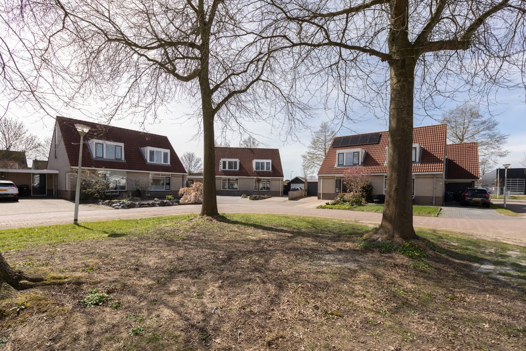 Foto 41 van Zonnedauw 10