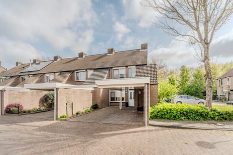 Schoorveken thumbnail