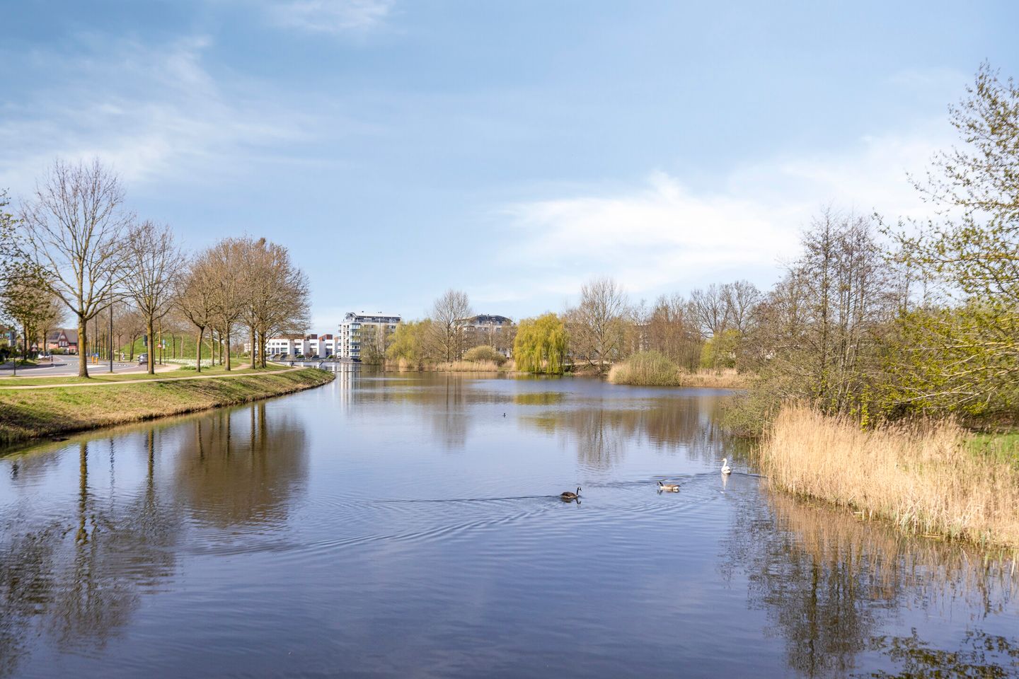 Foto 40 van Waterscheerling 75