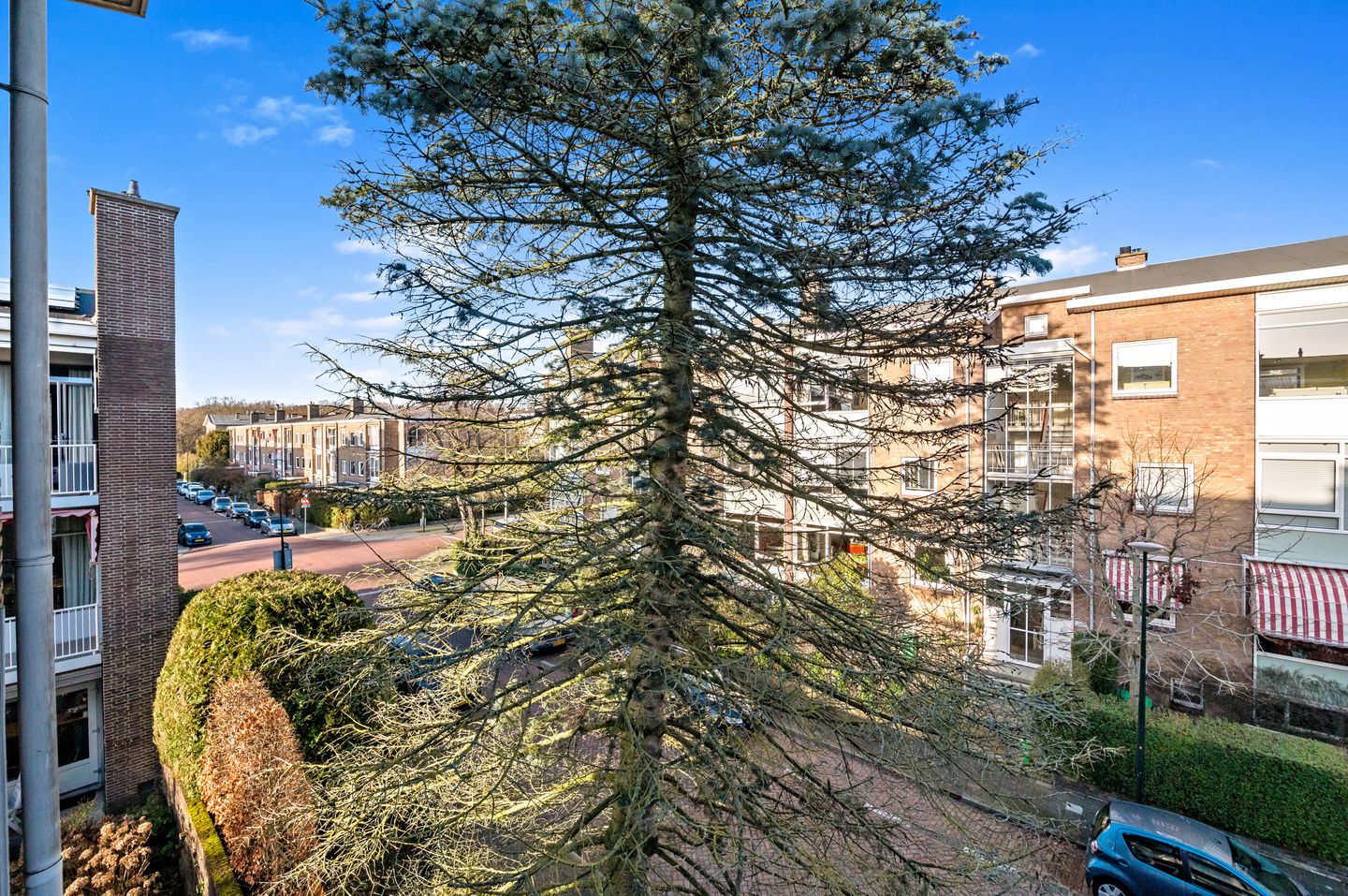 Photo 14 of Hanedoesstraat 34