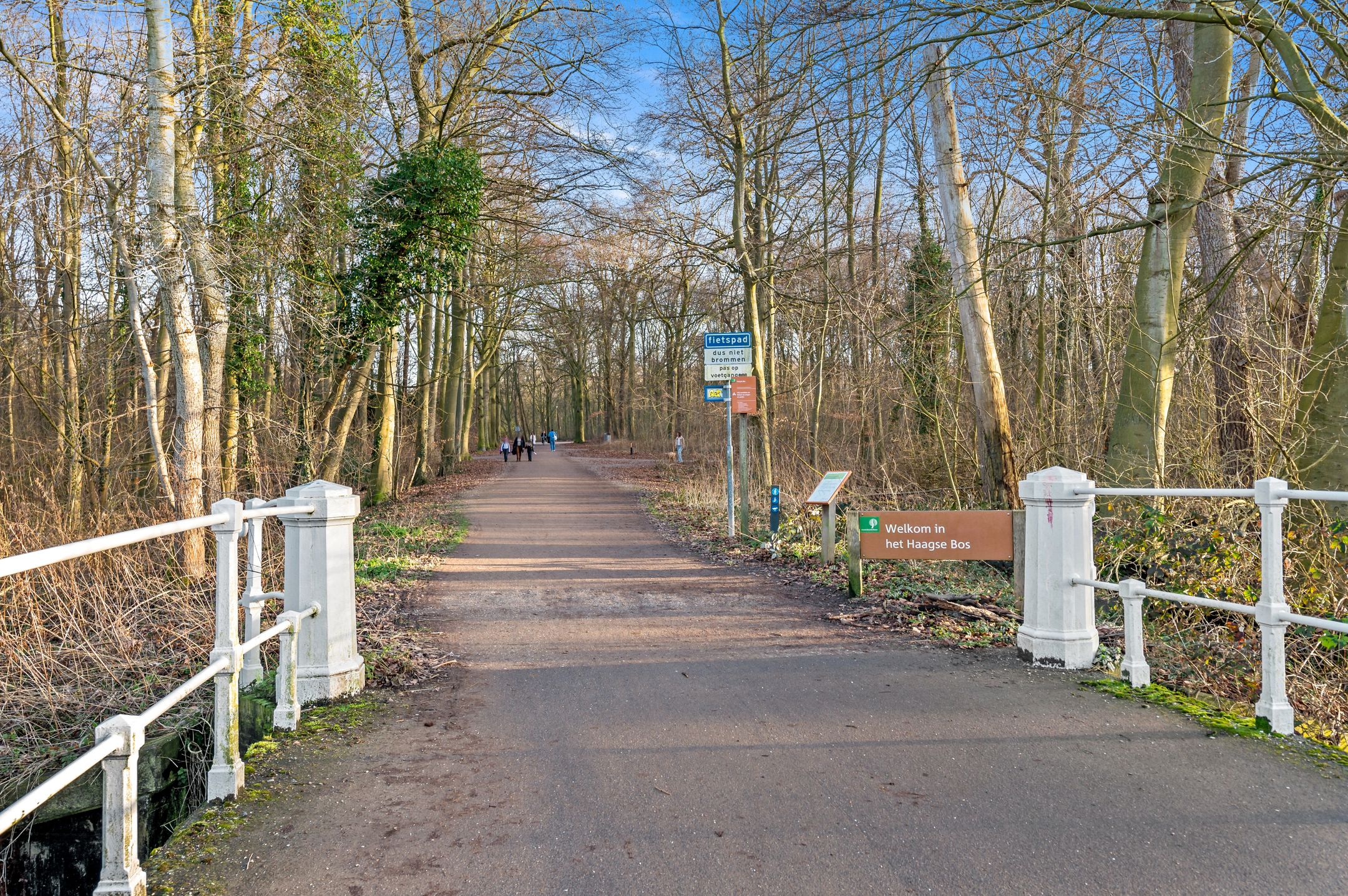 Photo 39 of Hanedoesstraat 34