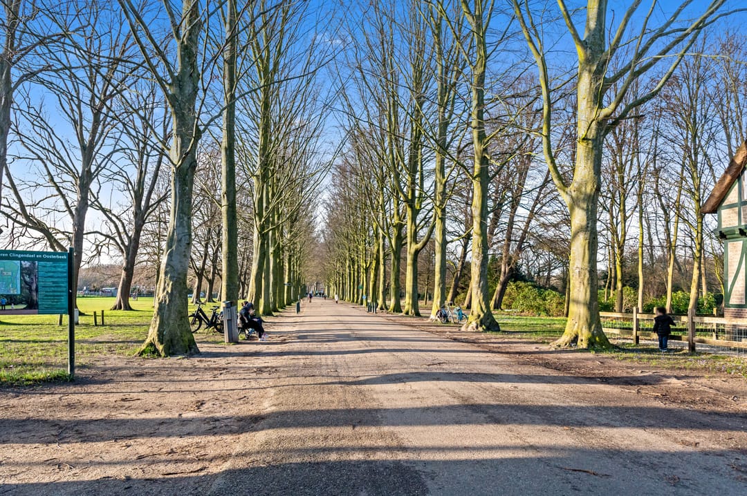 Photo 38 of Hanedoesstraat 34