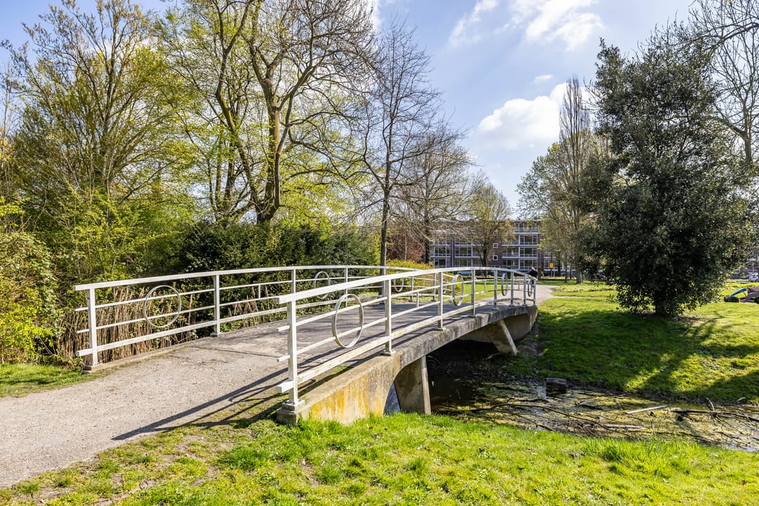 Photo 58 of Parkweg 114-A