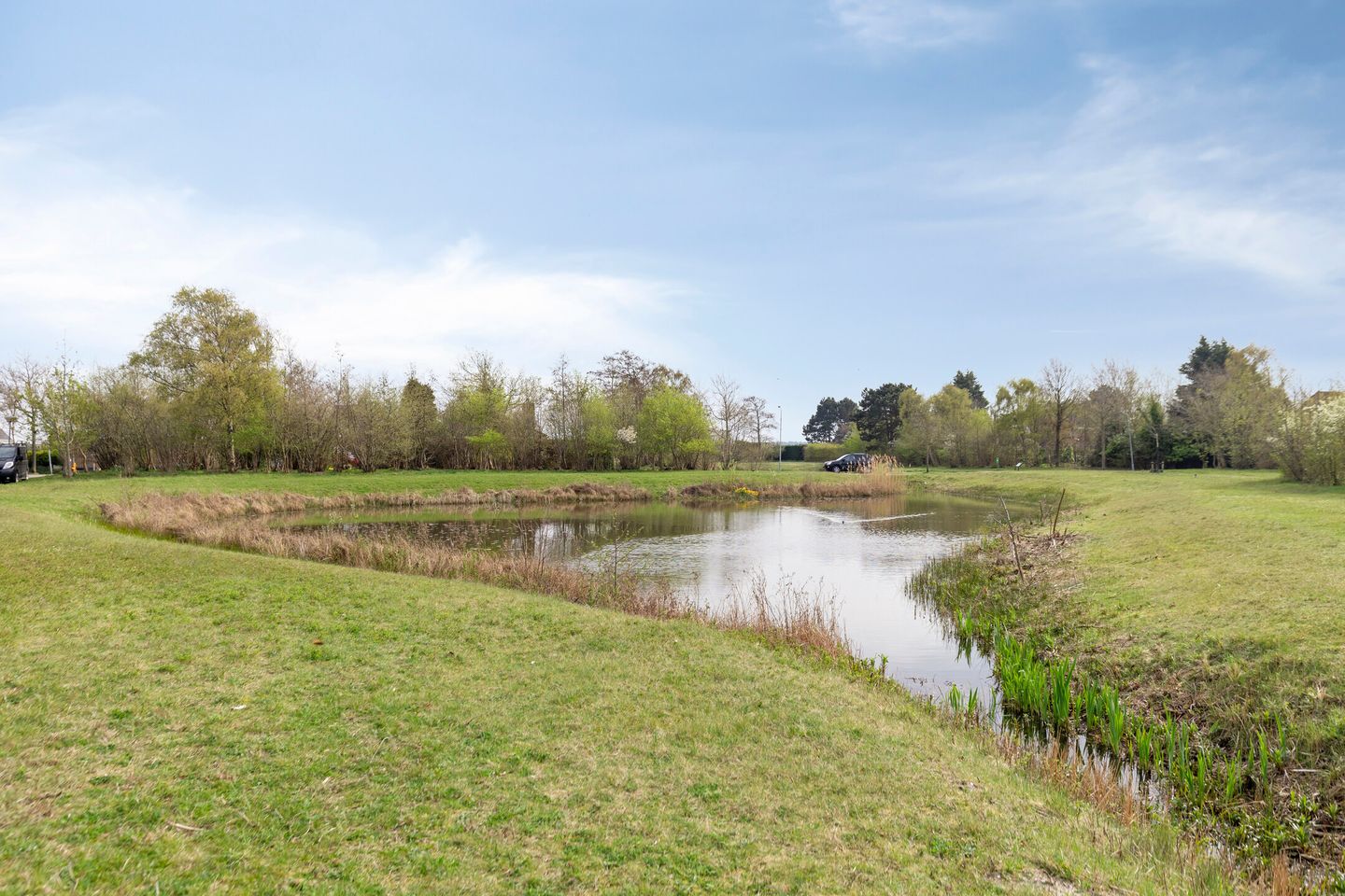 Foto 49 van Kamillelaan 7