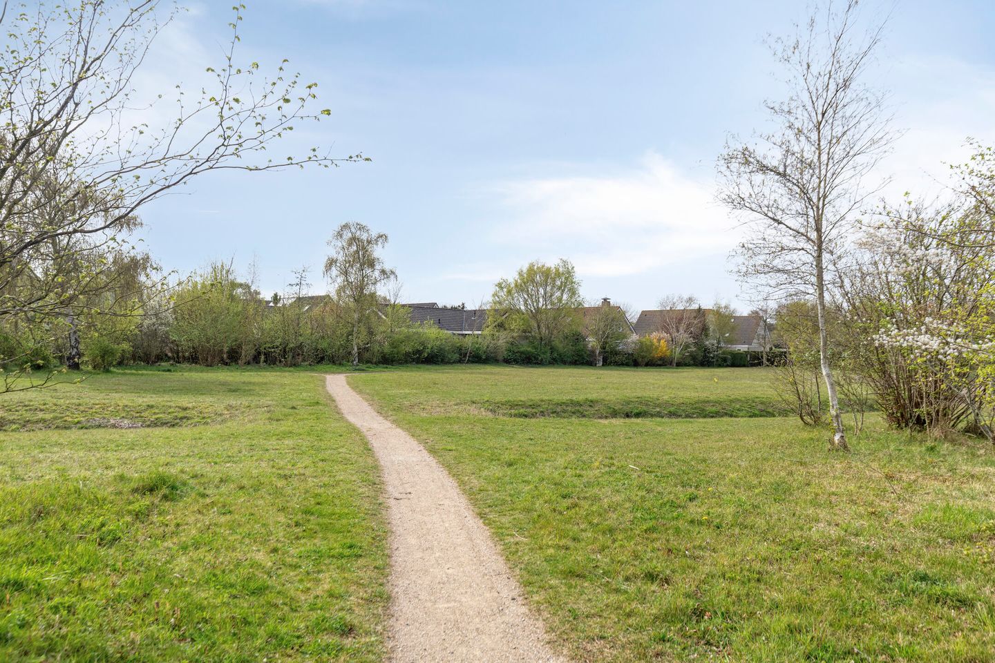 Foto 50 van Kamillelaan 7