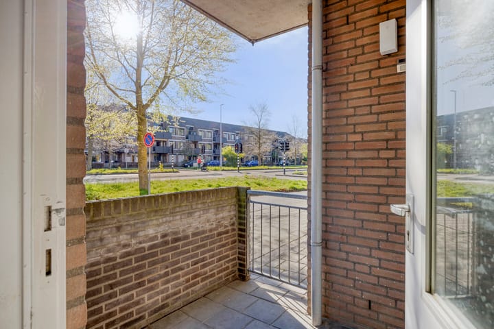 Foto 4 van Majoraan 3