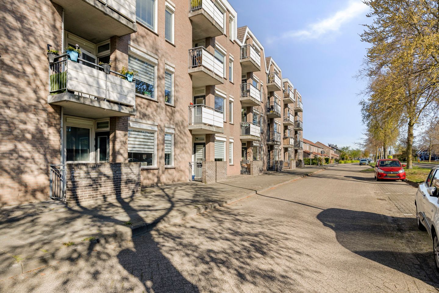 Foto 25 van Majoraan 3