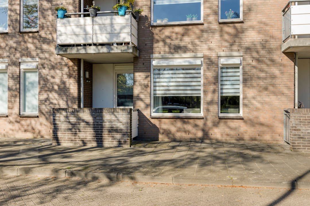 Foto 26 van Majoraan 3