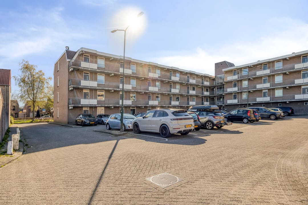 Foto 28 van Majoraan 3