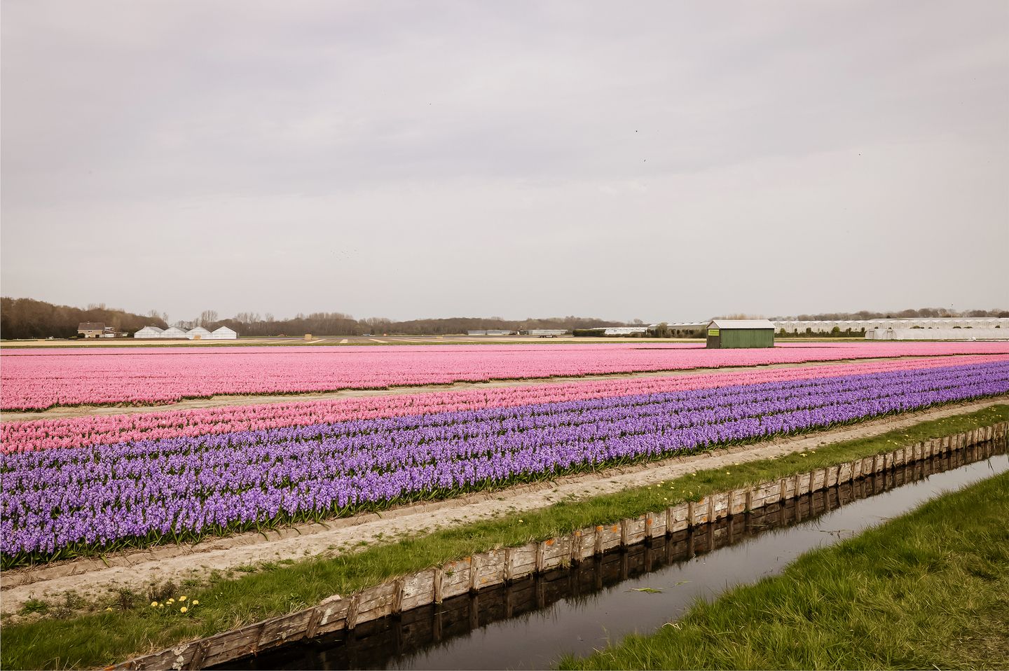 Foto 55 van Liduinalaan 20