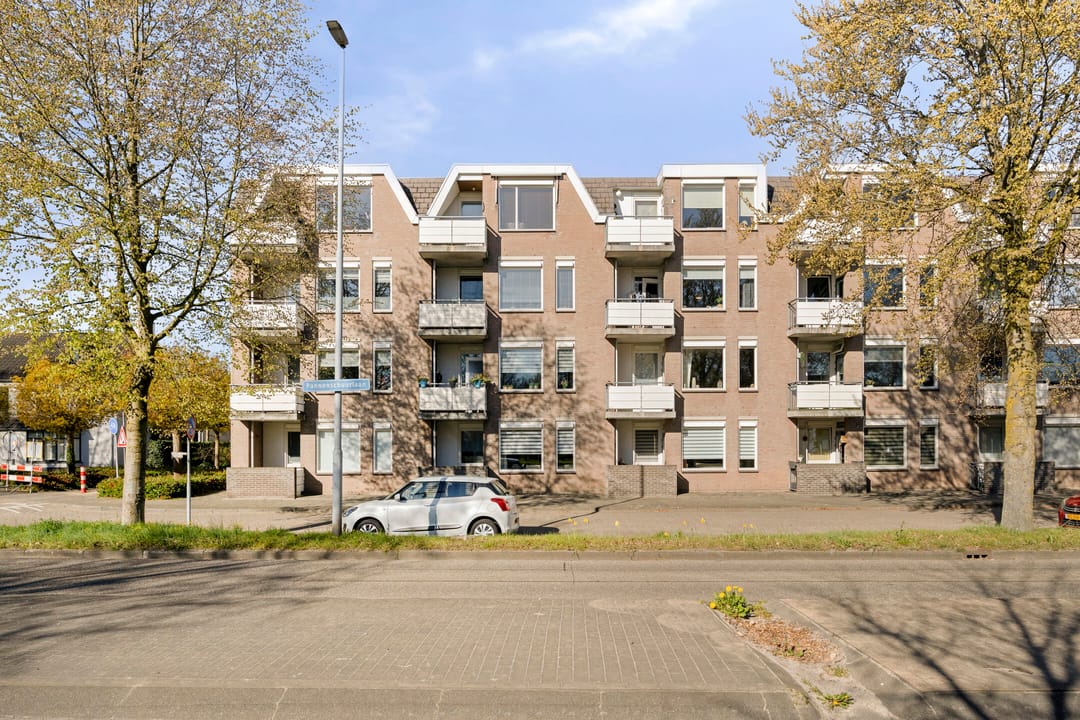 Foto 1 van Majoraan 3