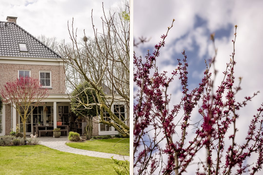 Foto 32 van Liduinalaan 20