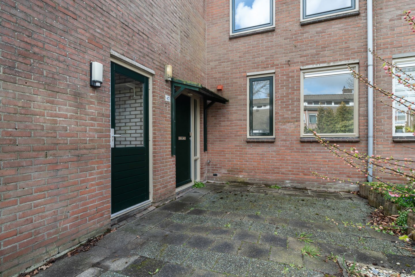 Foto 4 van de Snoekbaars 47