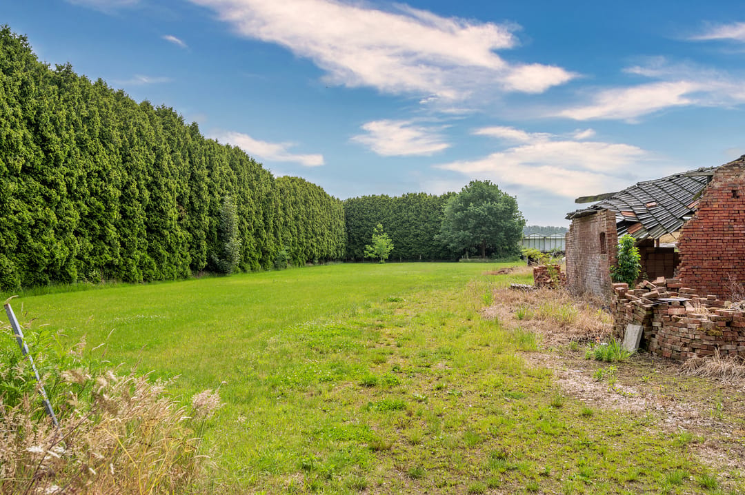 Spacious Character Farmhouse with Dual Living Wings and Abundant Potential — 31