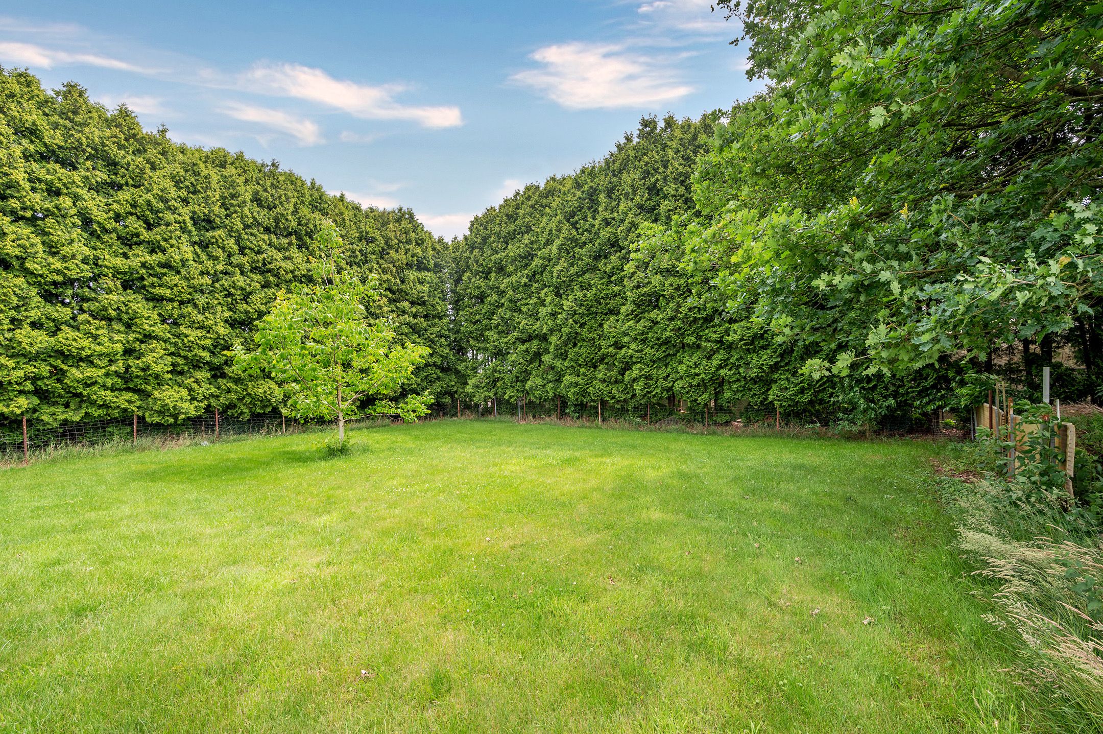 Spacious Character Farmhouse with Dual Living Wings and Abundant Potential — 42