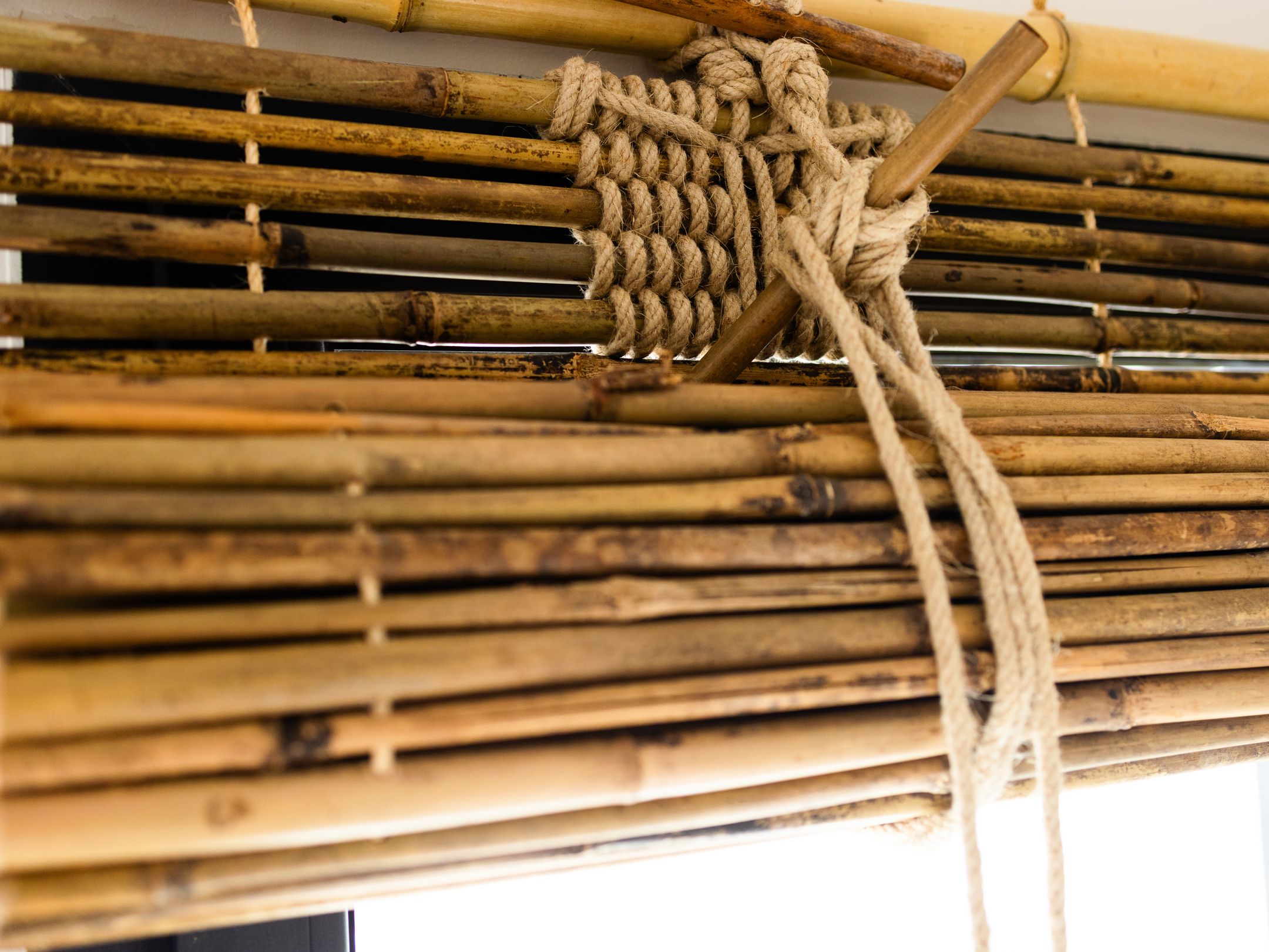 Photo 15 of Calle del Cielo 7