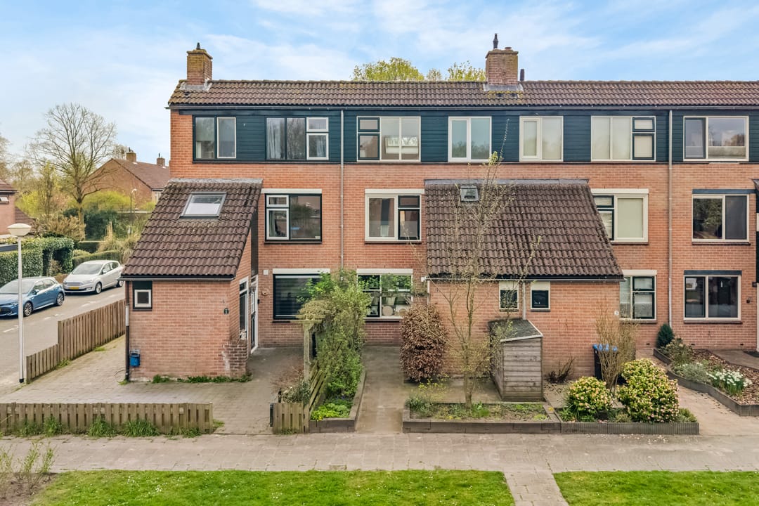 Foto 1 van Snoekbaars 3