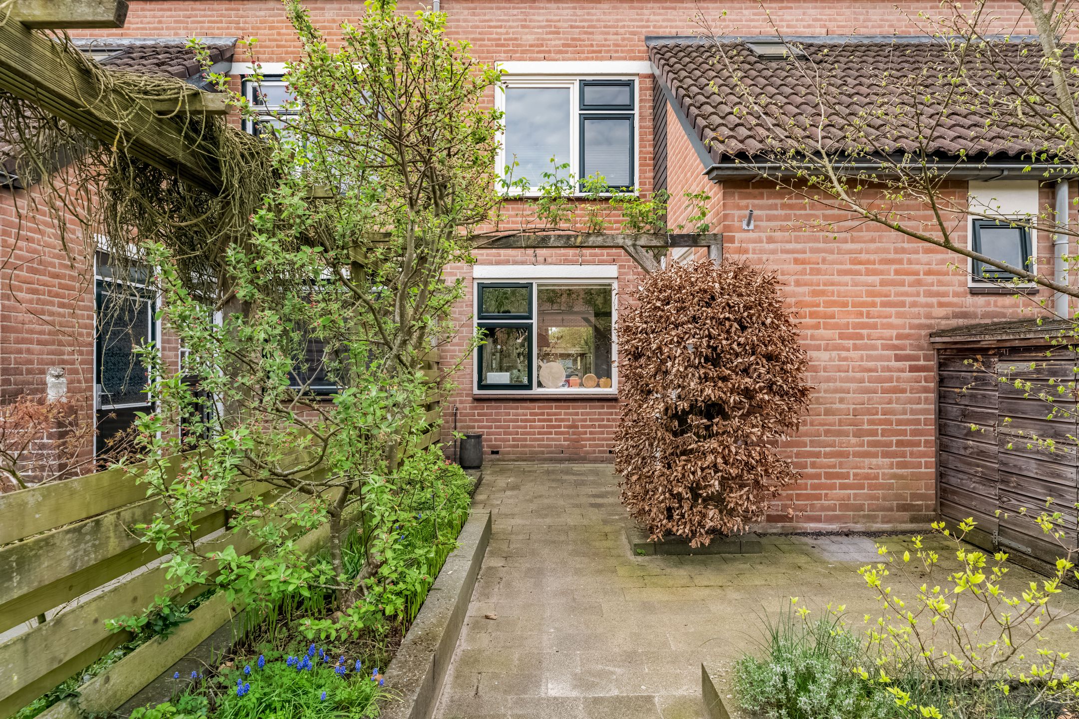 Foto 3 van Snoekbaars 3