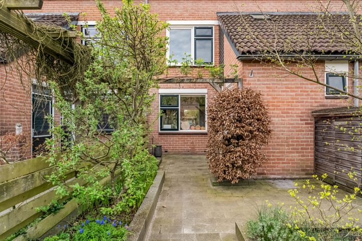 Foto 3 van Snoekbaars 3