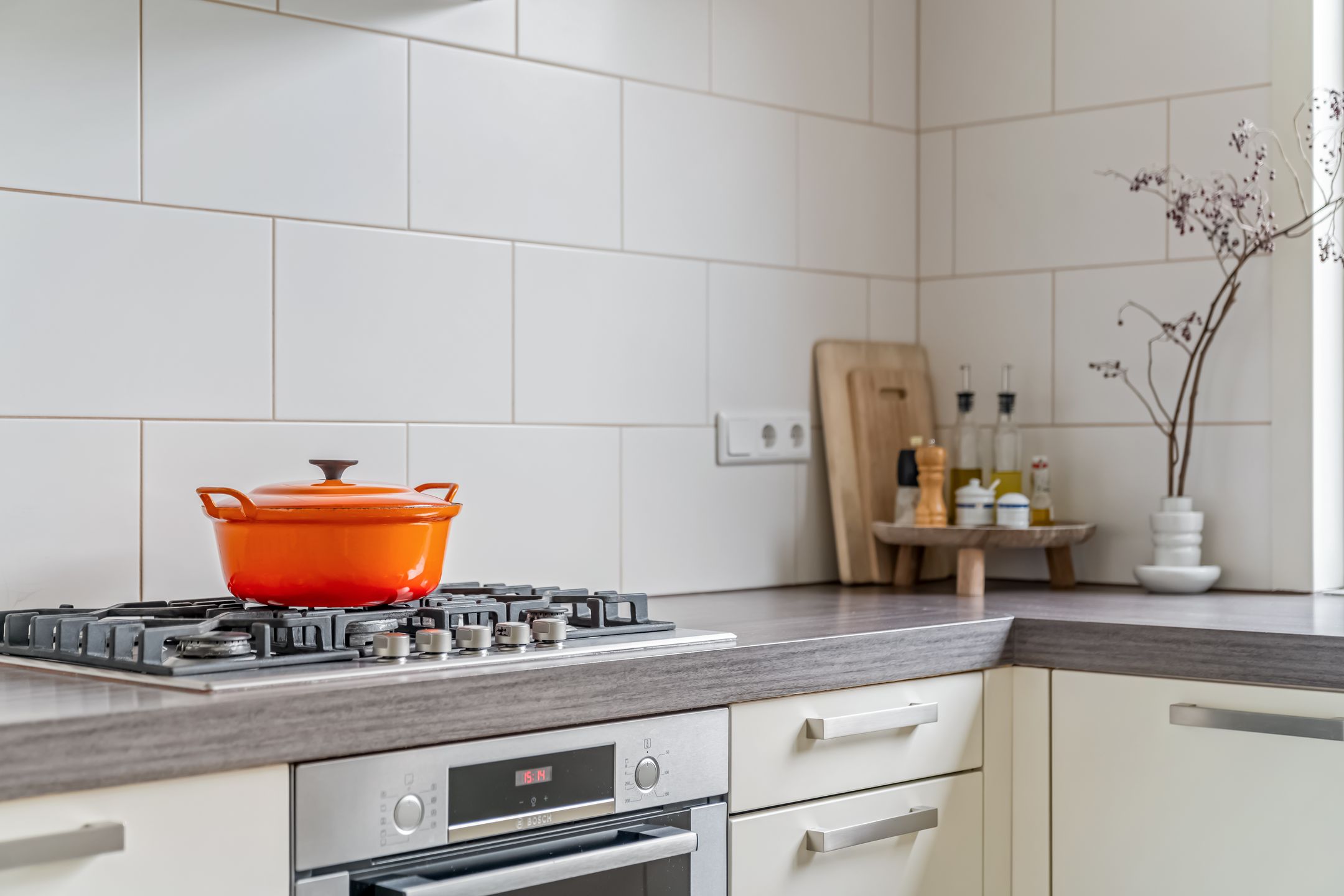 Foto 12 van Snoekbaars 3