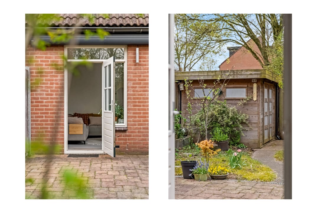 Foto 26 van Snoekbaars 3