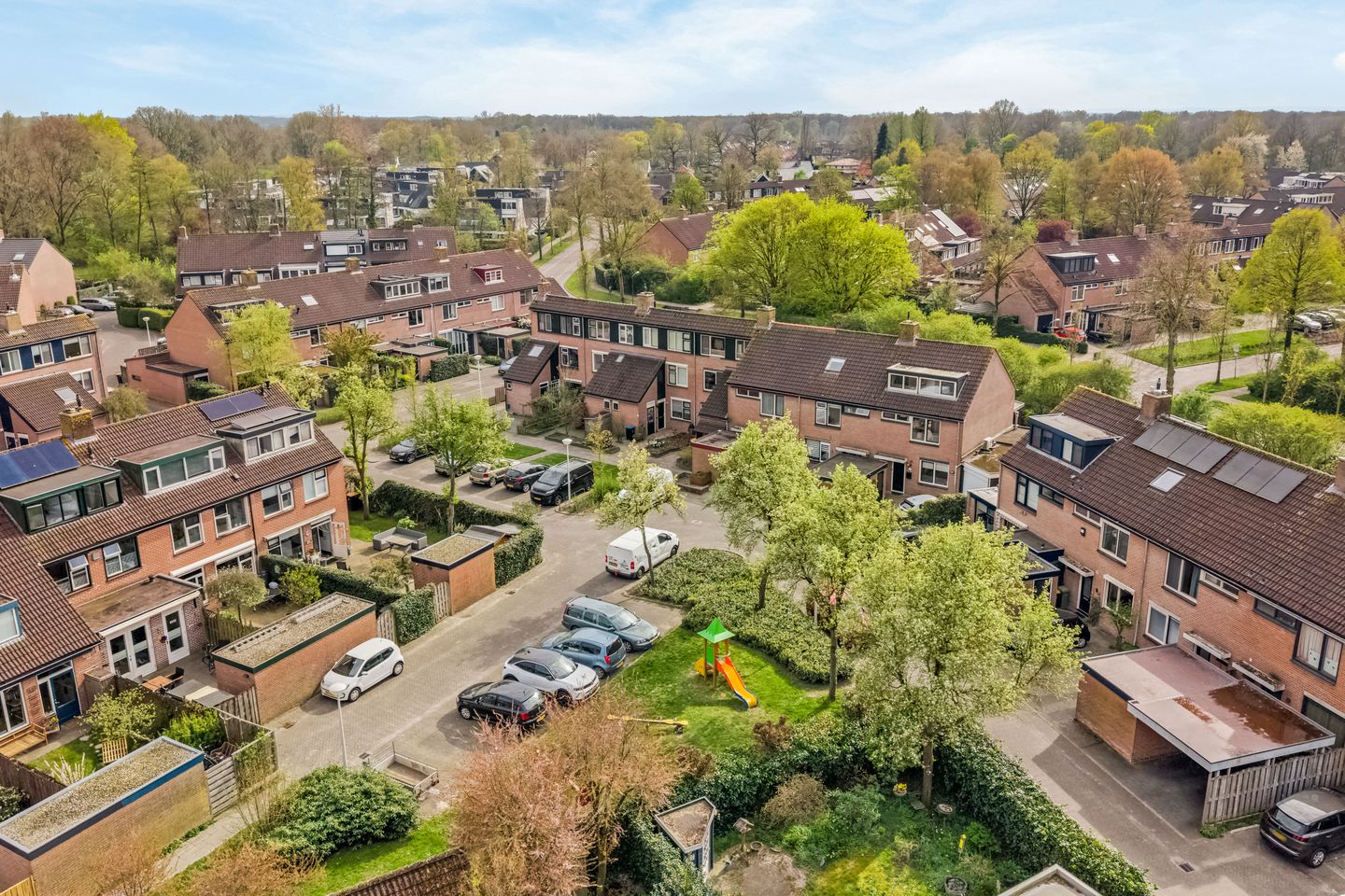 Foto 29 van Snoekbaars 3