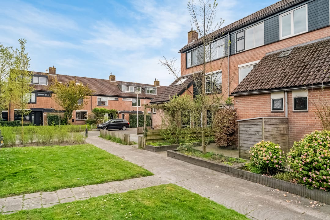 Foto 31 van Snoekbaars 3