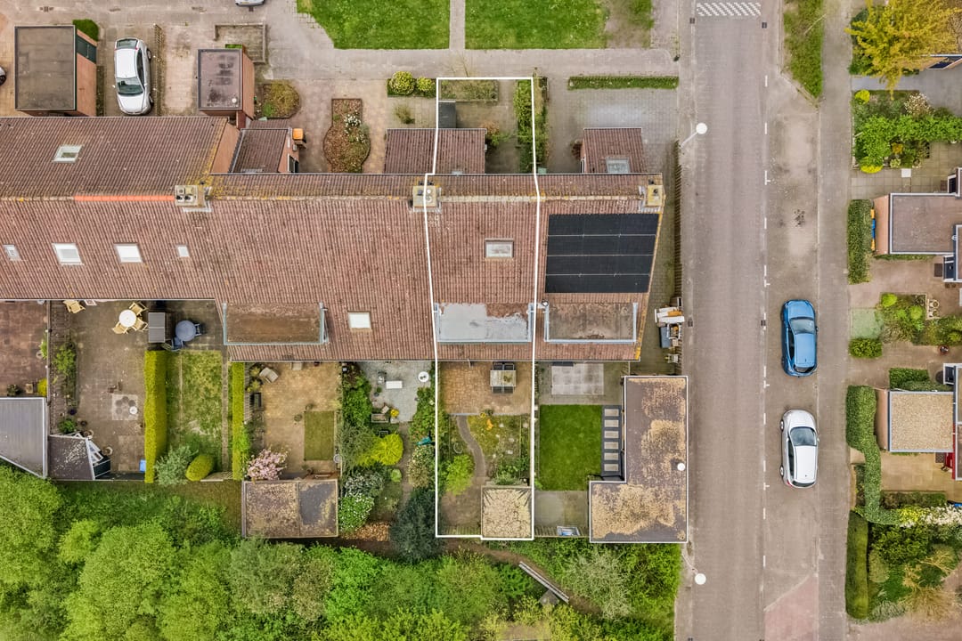 Foto 28 van Snoekbaars 3