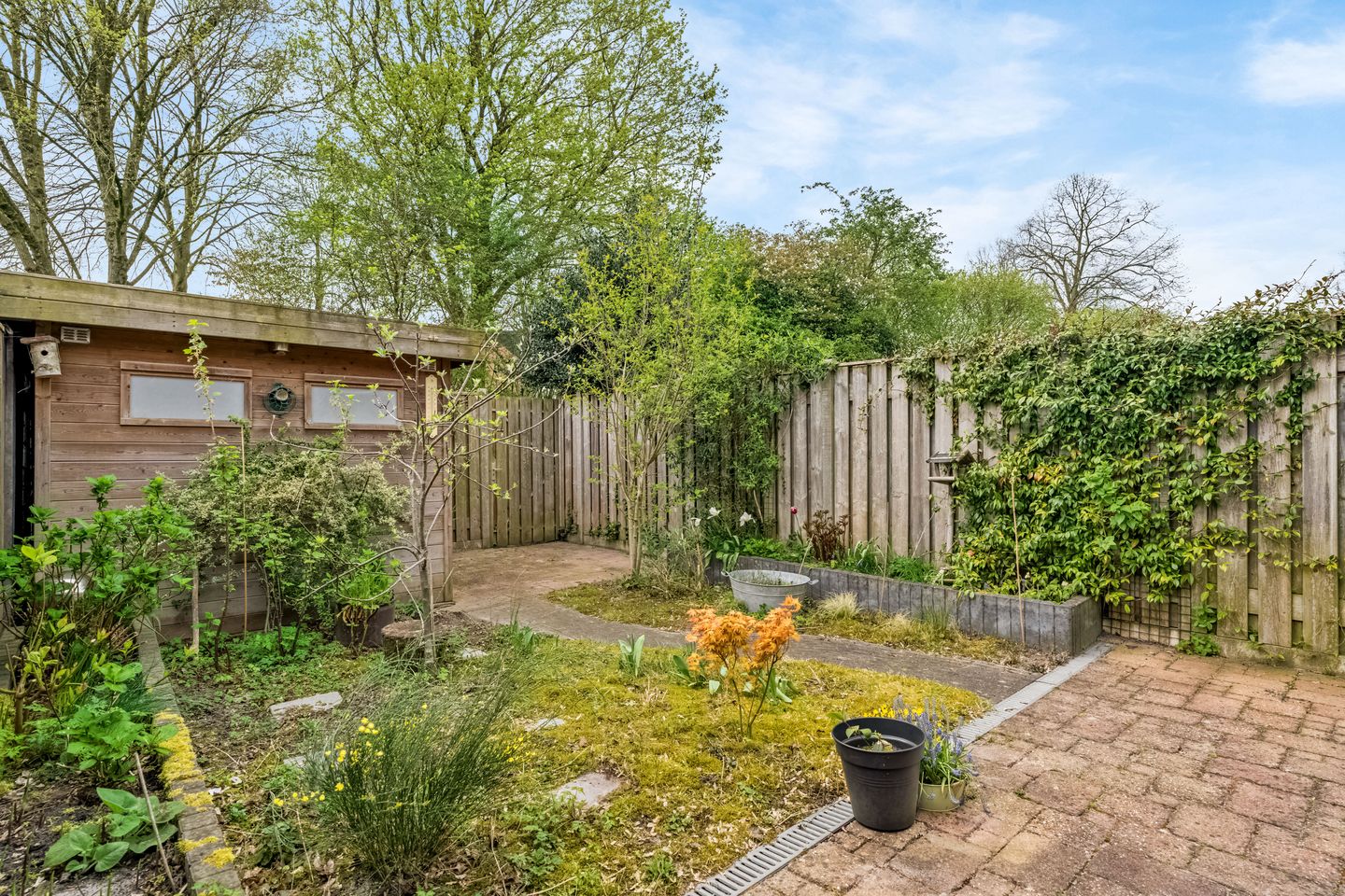 Foto 25 van Snoekbaars 3