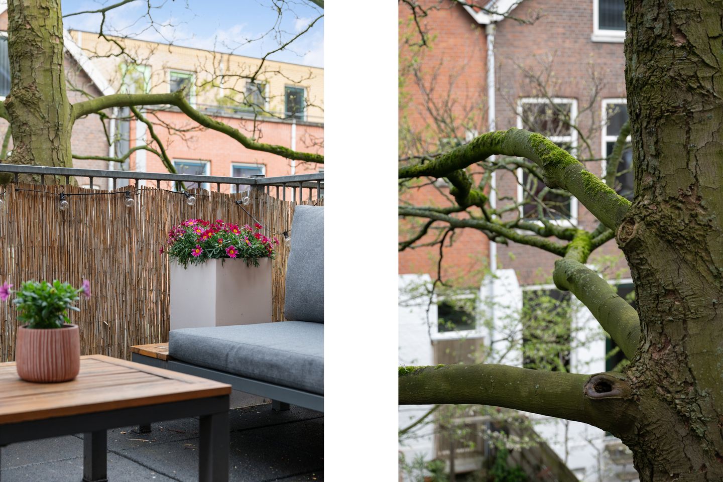 Foto 14 van Nieuwe Binnenweg 215-A01