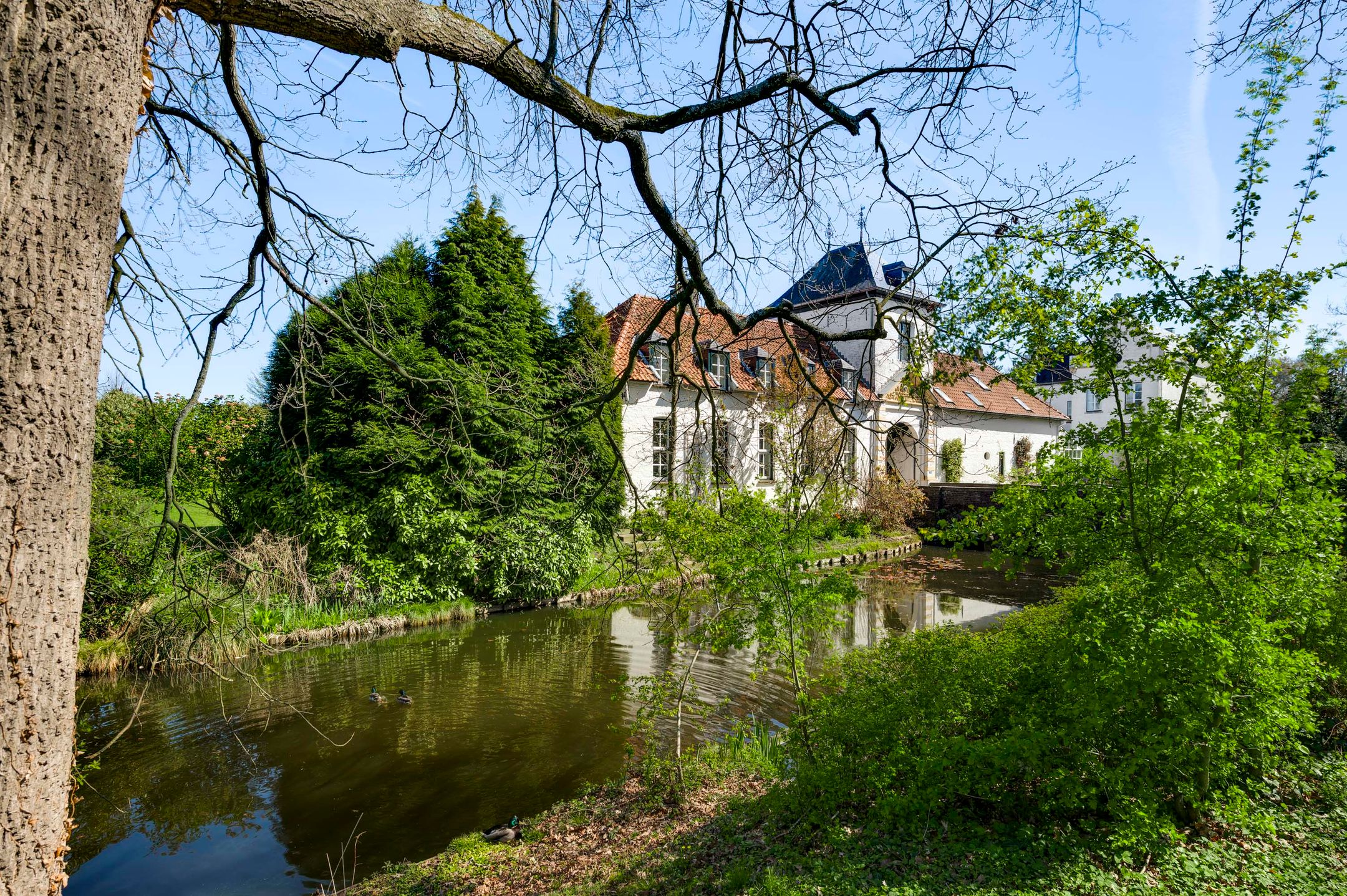 Foto 39 van Kasteel Nieuwenbroeck 2