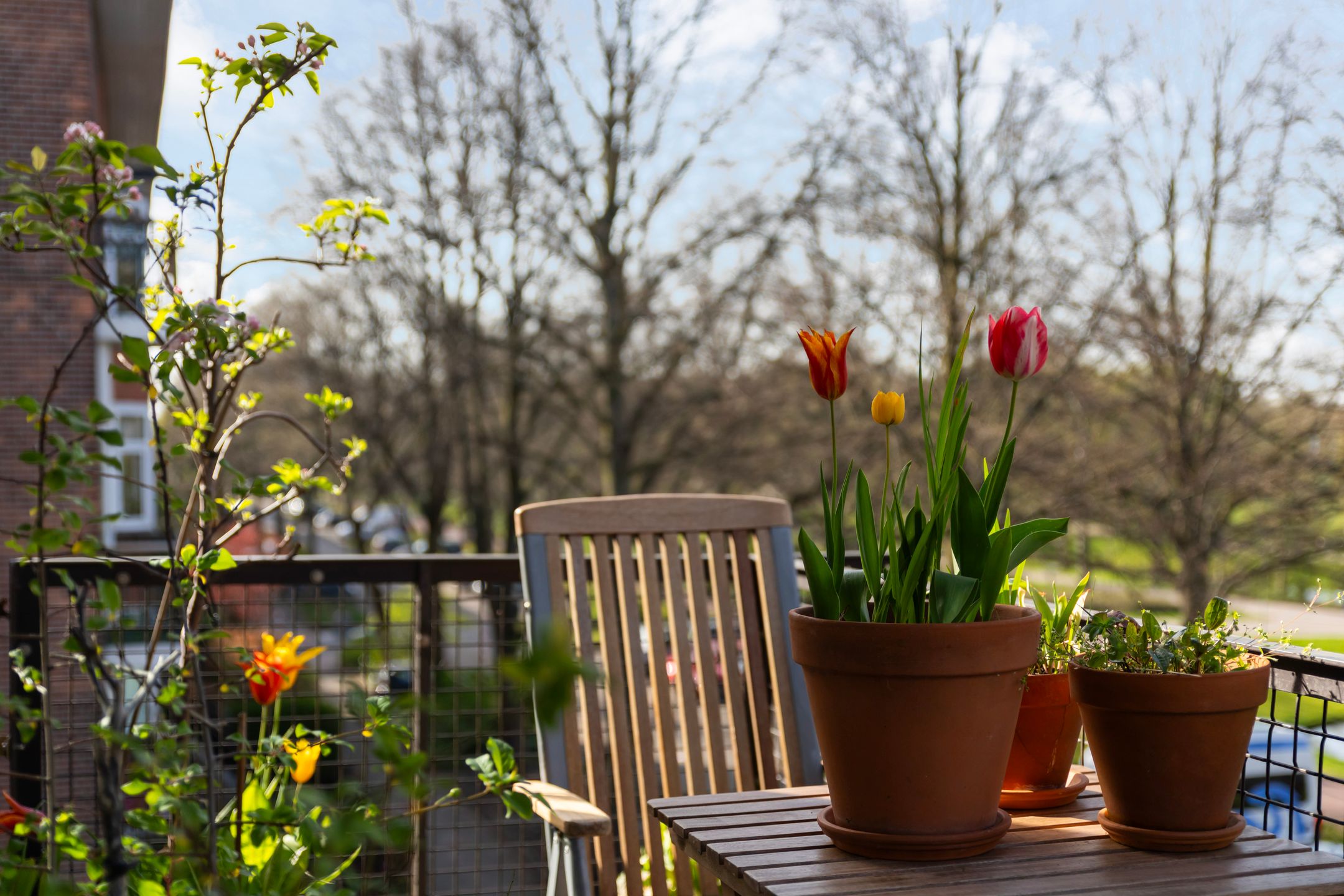 Foto 33 van Van der Horststraat 13-F