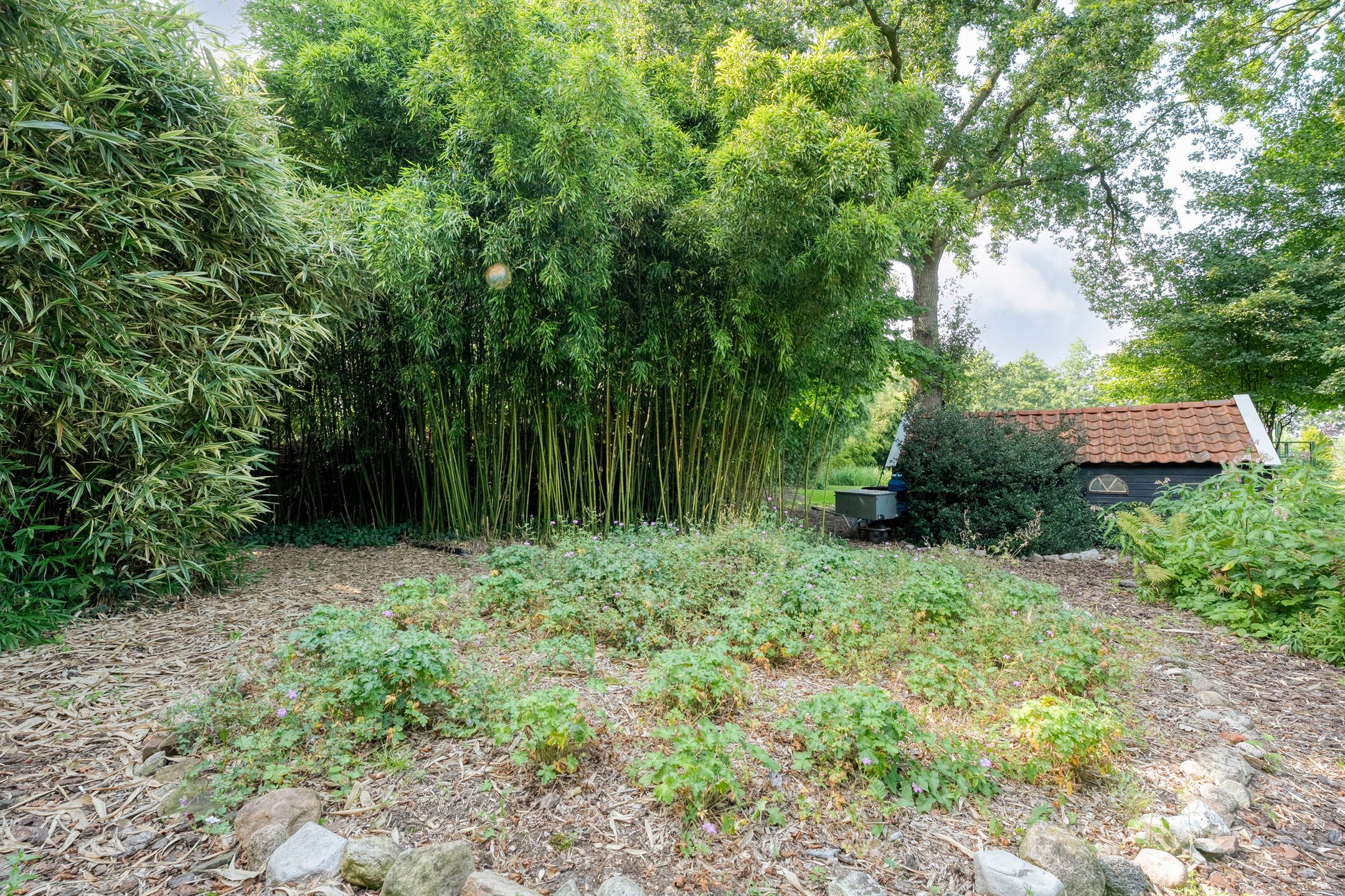 Foto 84 van De Weidenweg 70