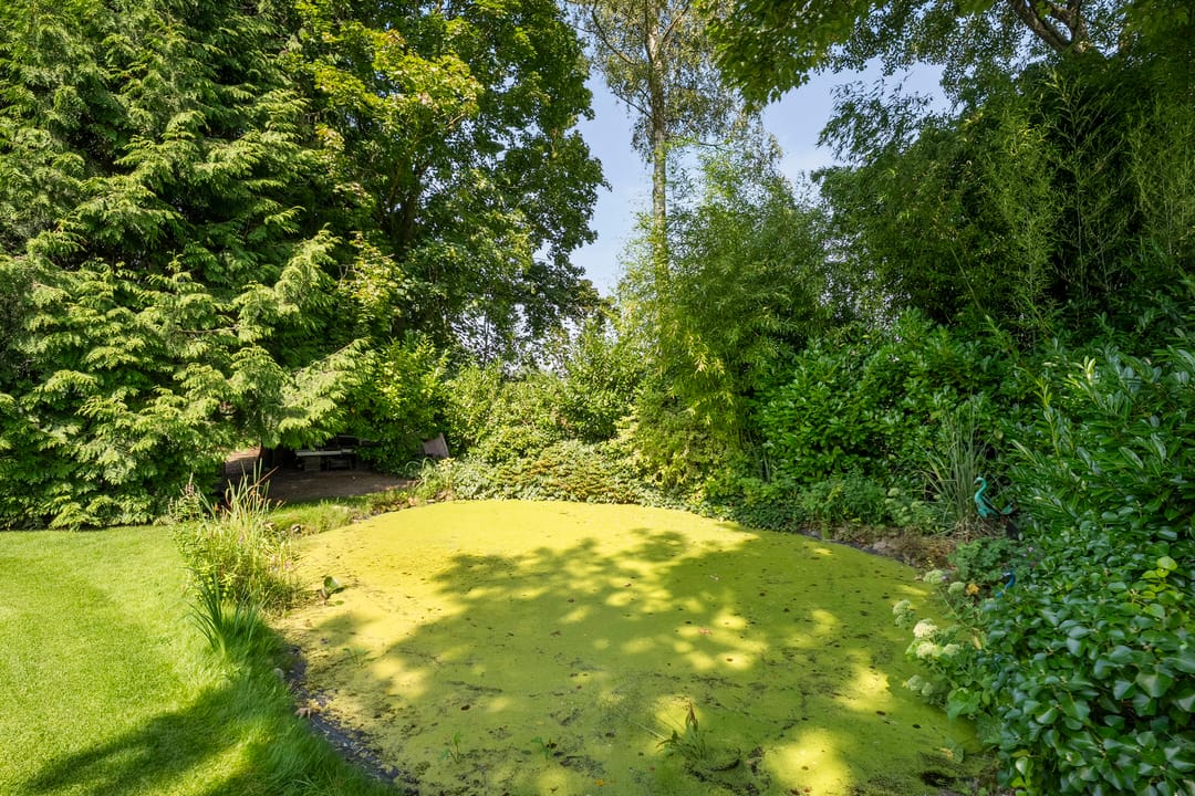 Foto 68 van De Weidenweg 70