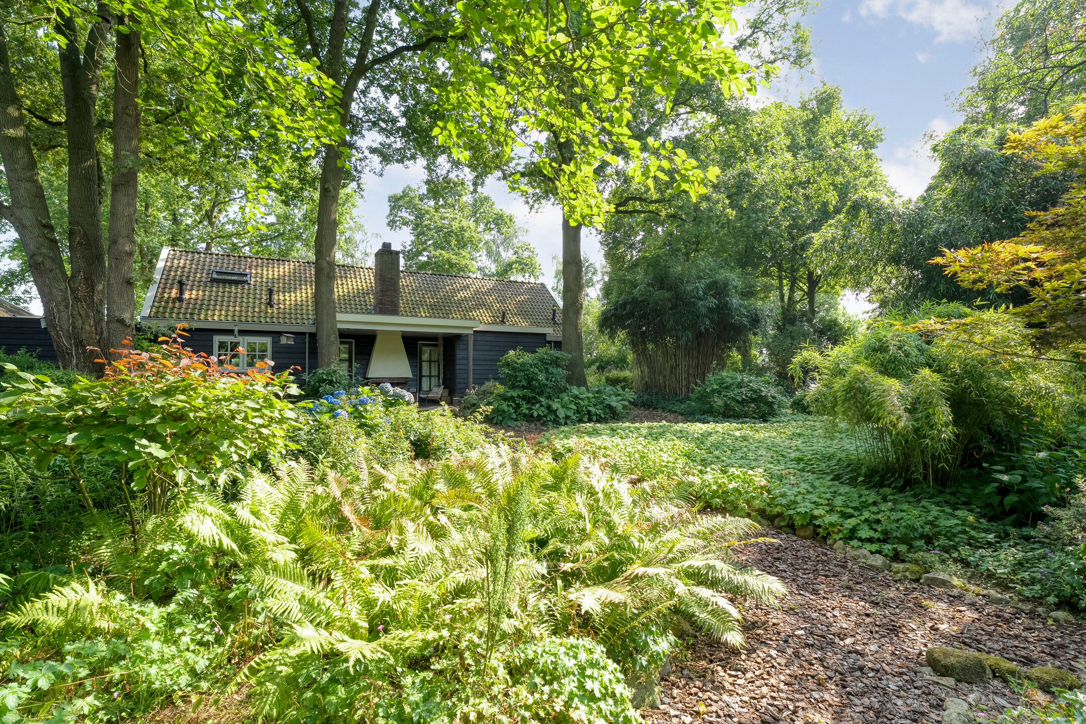 Foto 81 van De Weidenweg 70