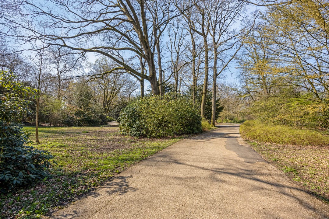 Photo 23 of Cornelis Mertenssstraat 51