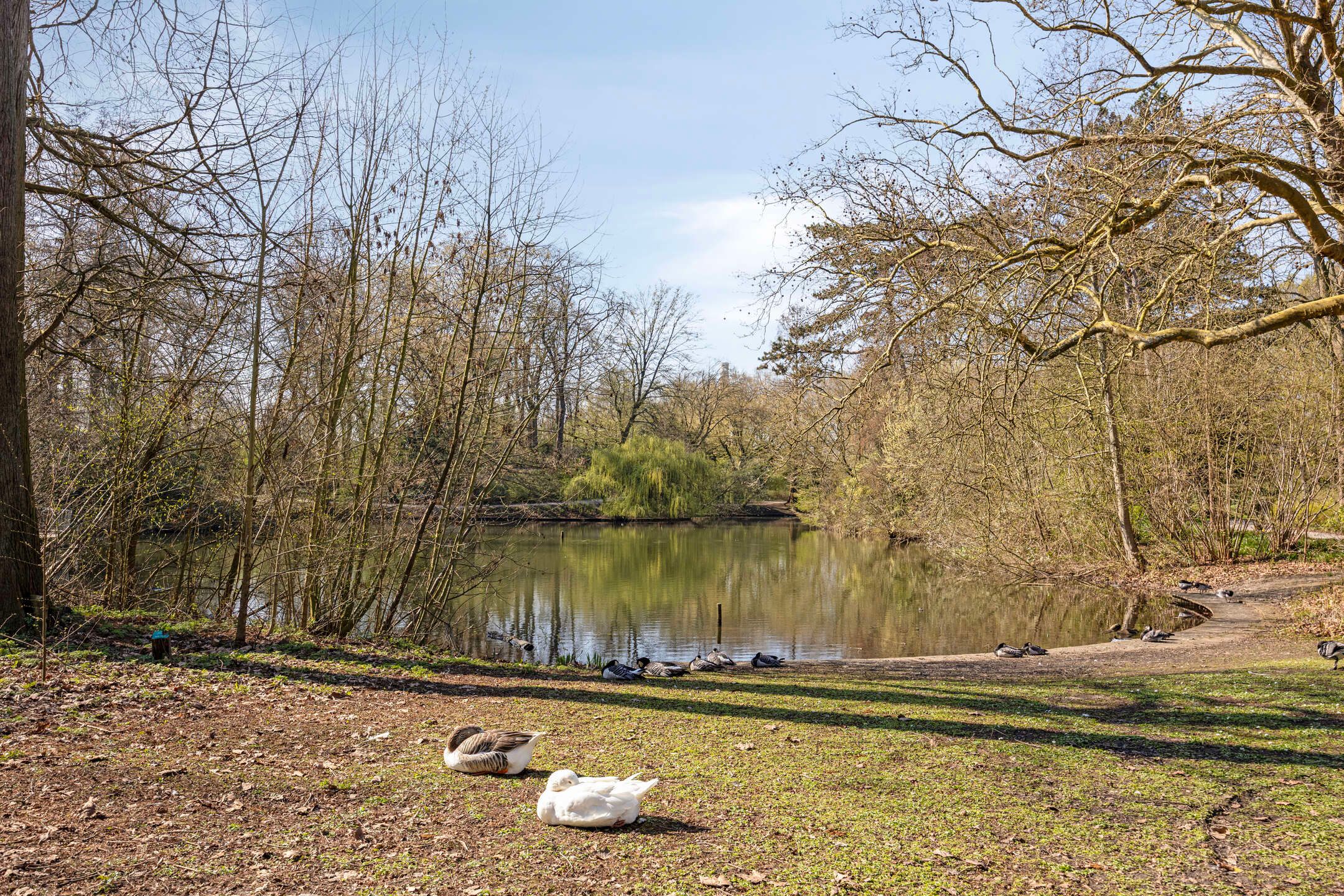 Photo 24 of Cornelis Mertenssstraat 51