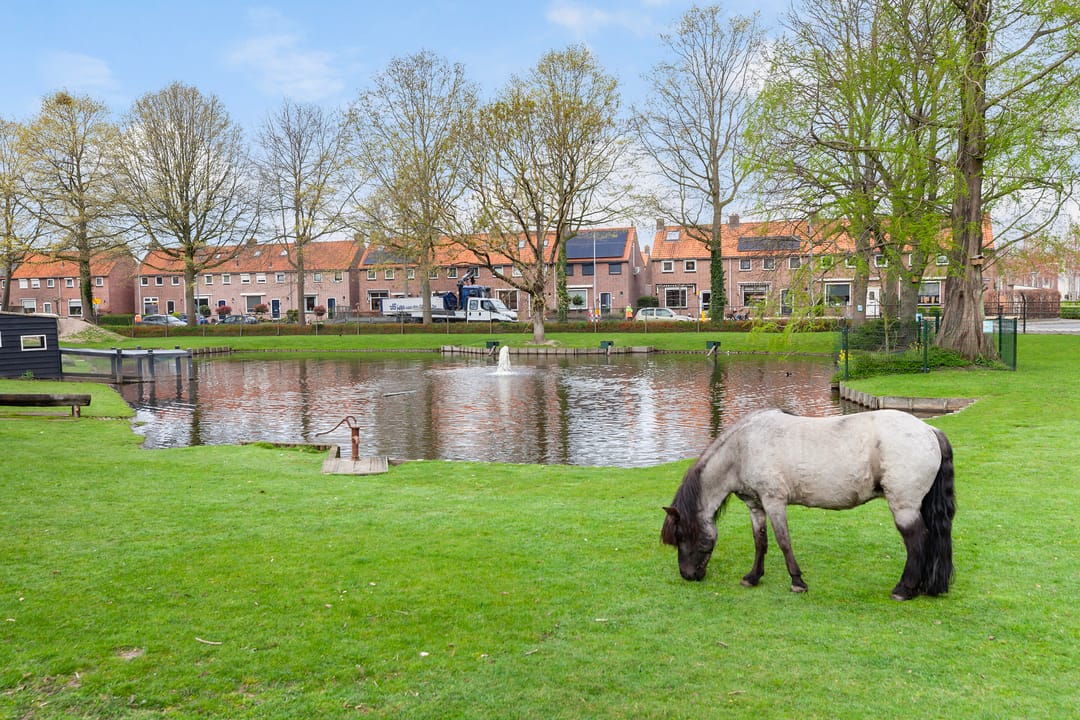 Photo 31 of Koningin Wilhelminaweg 21