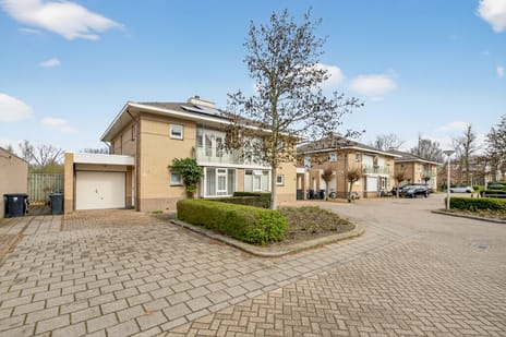 undefined main image