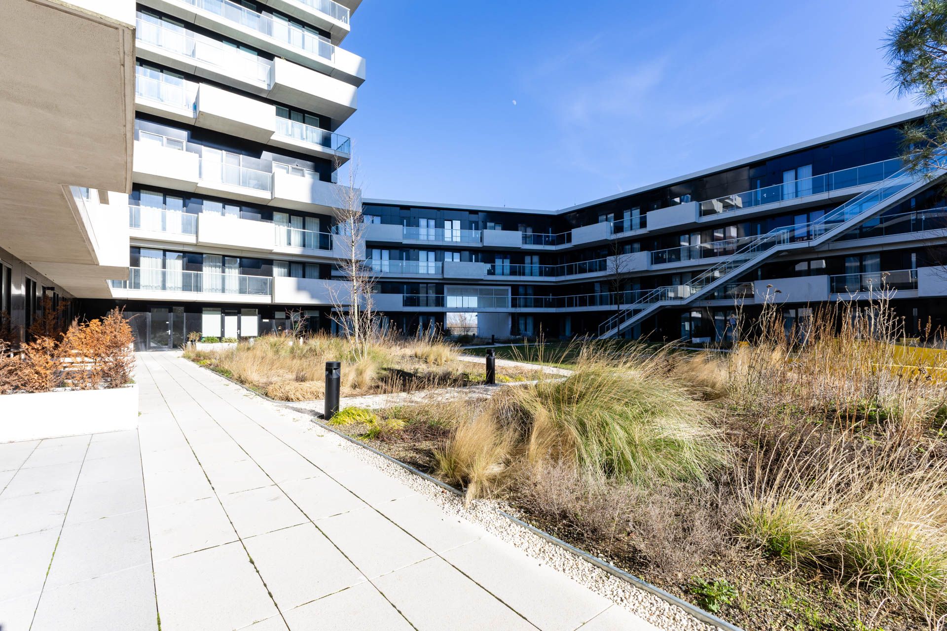 Foto 3 van Rosestraat 1125