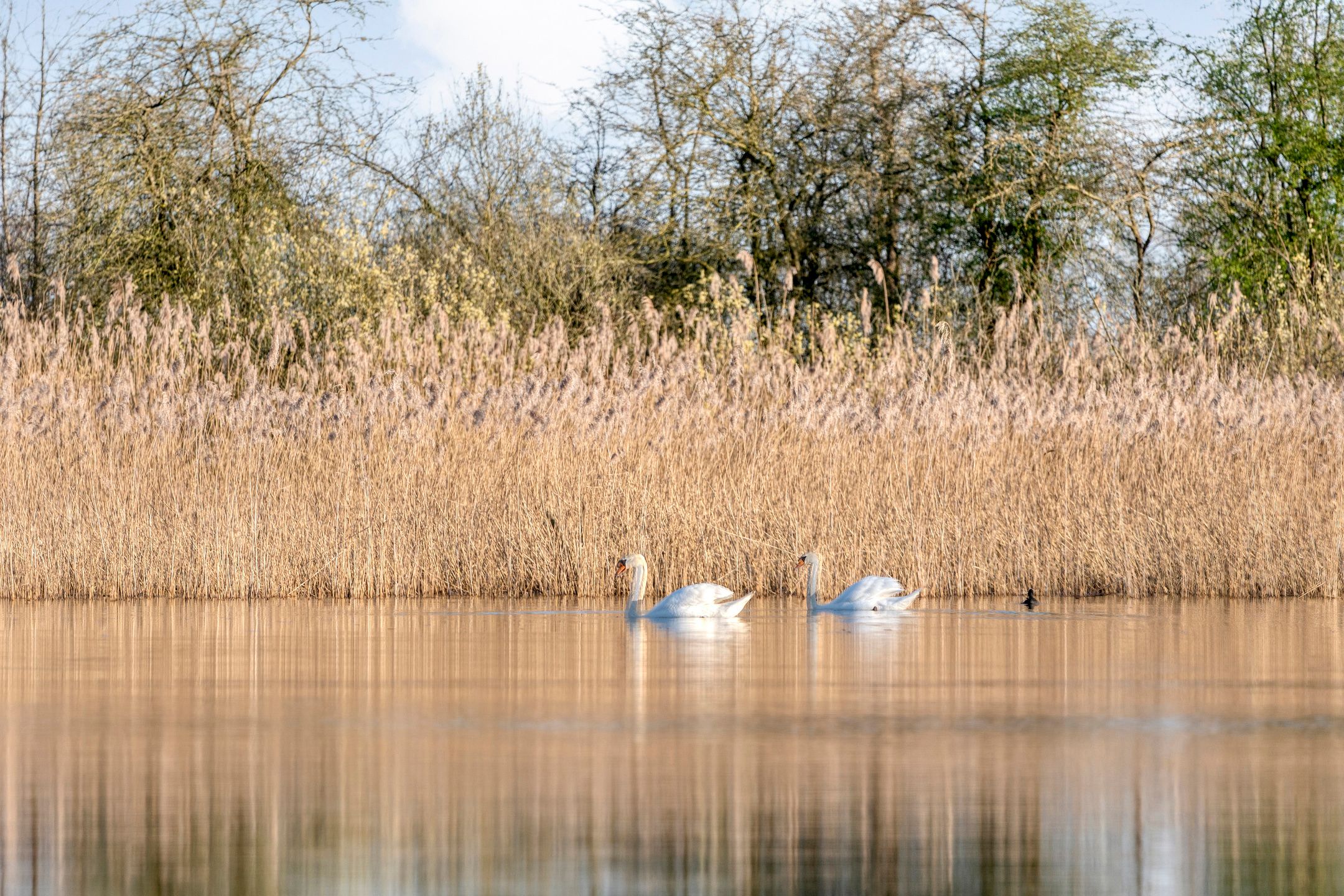 Foto 63 van Holtien 11