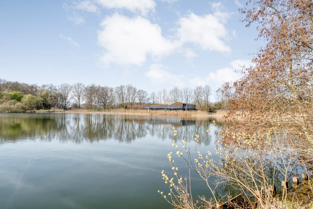 Foto 77 van Holtien 11