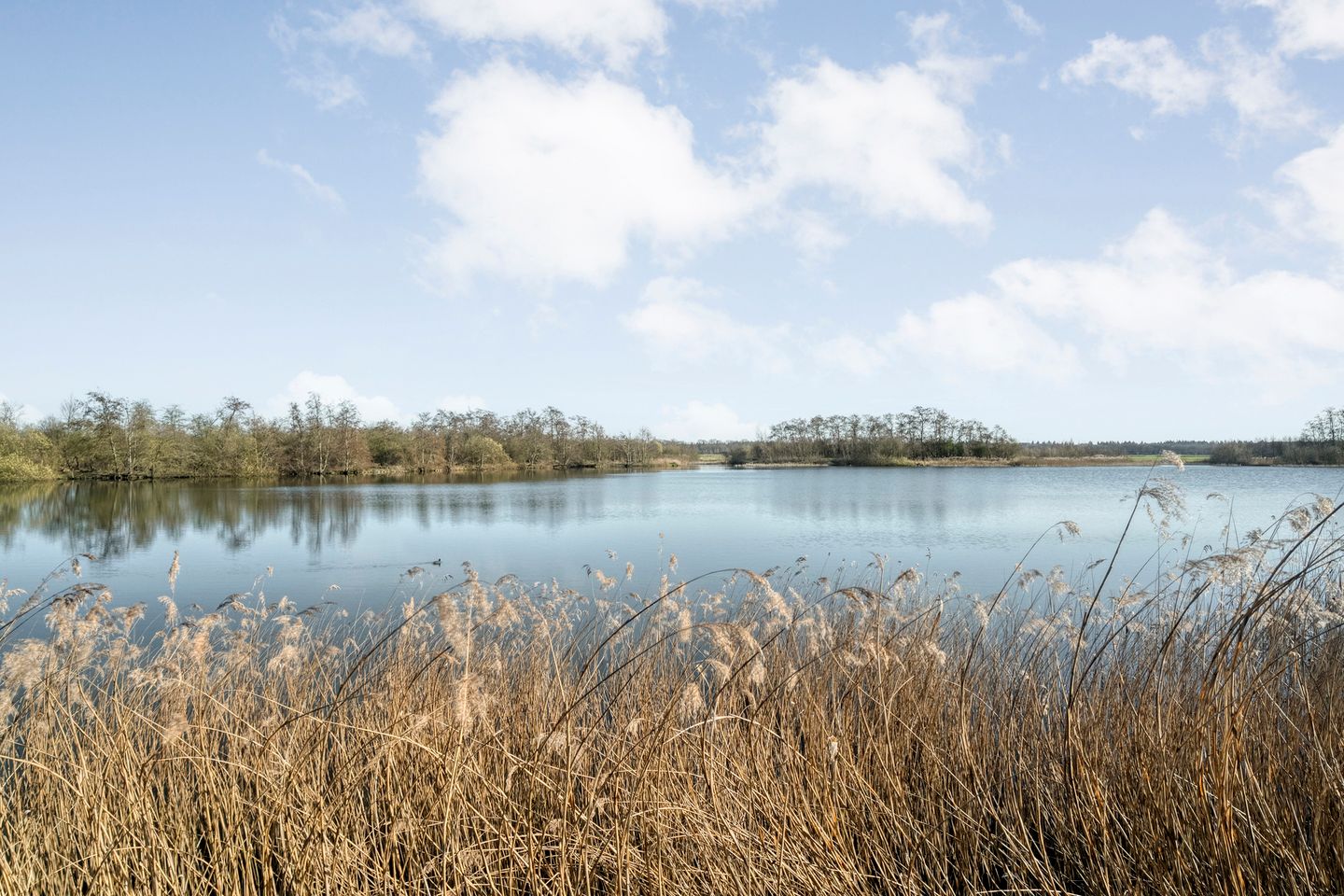 Foto 35 van Holtien 11