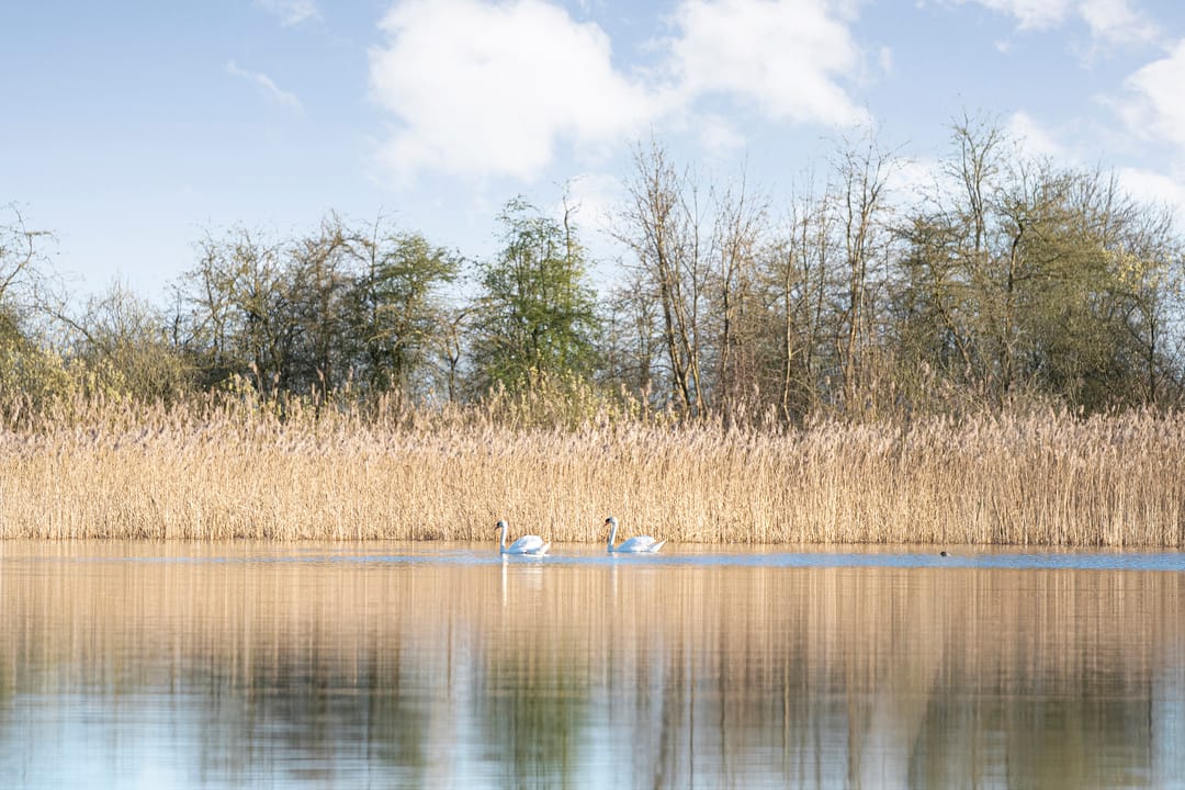 Foto 62 van Holtien 11