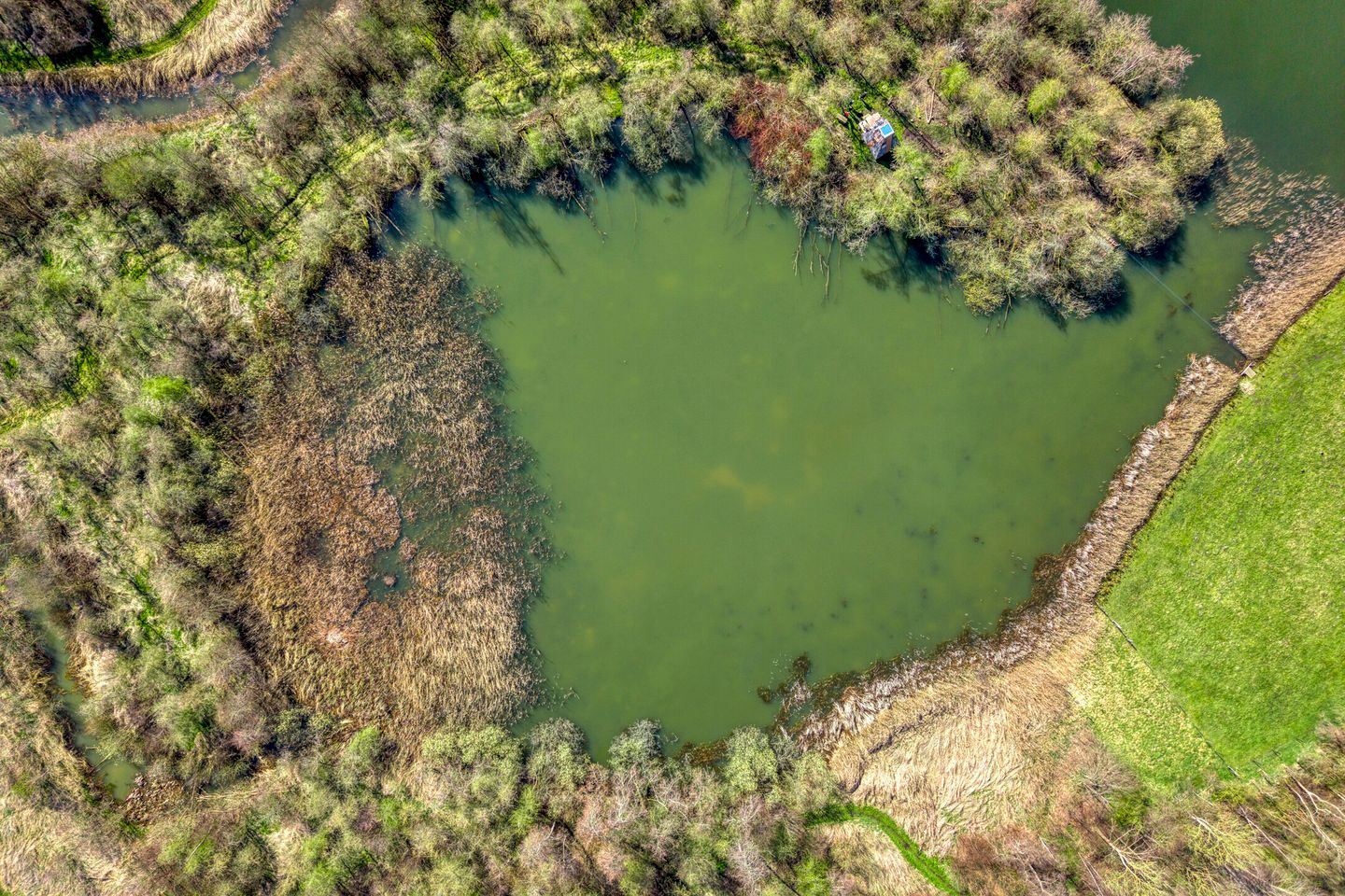 Foto 70 van Holtien 11