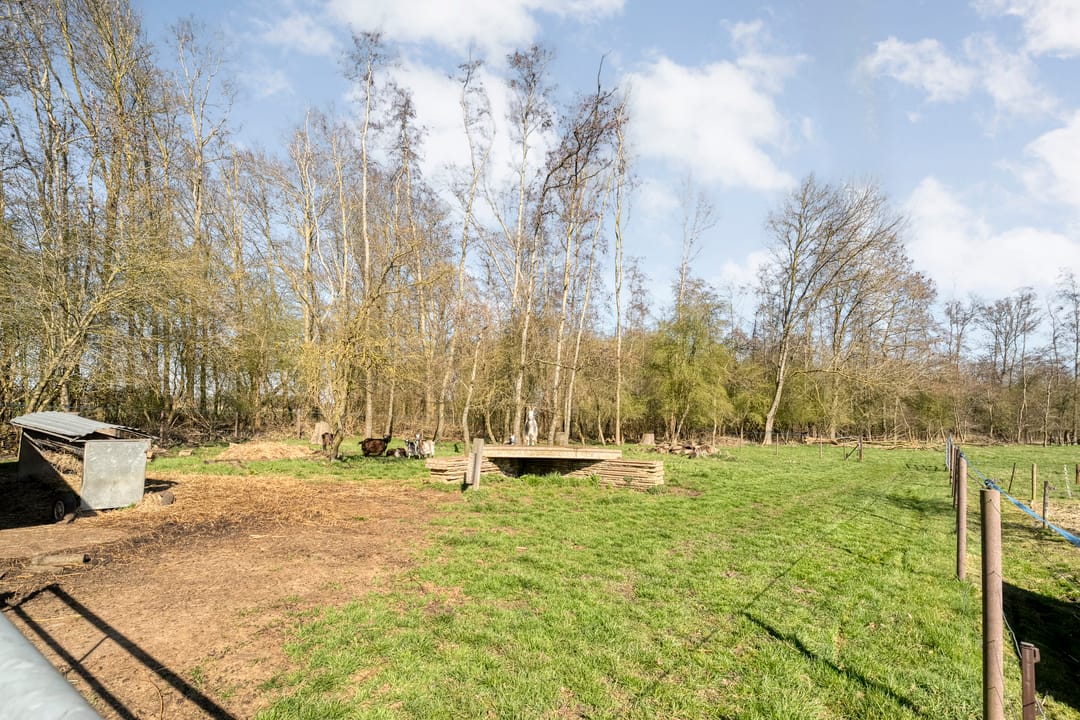 Foto 58 van Holtien 11