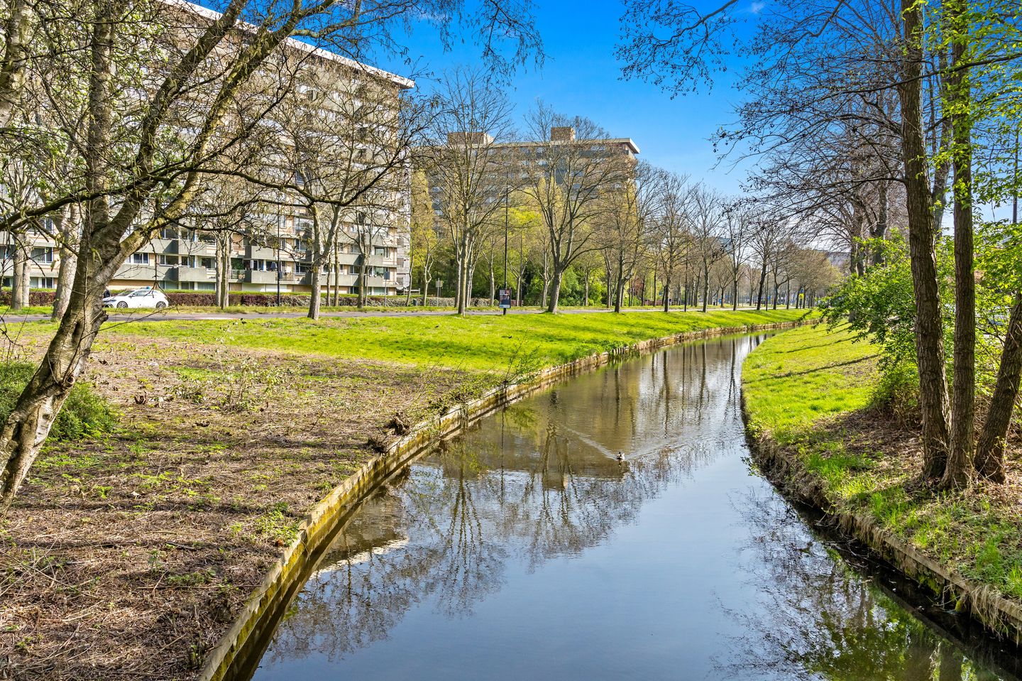 Photo 29 of Thomas Jeffersonlaan 451