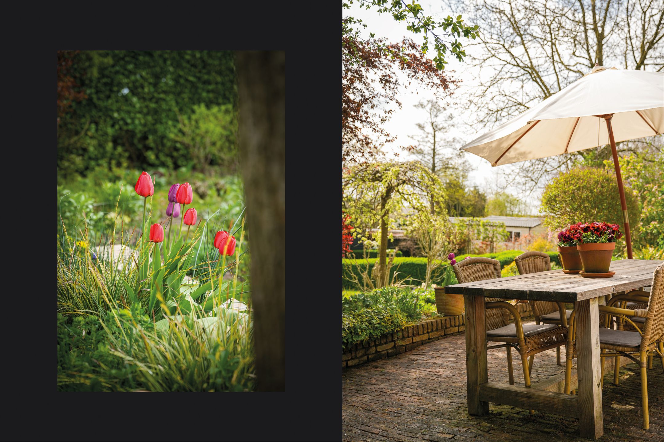 Foto 51 van Waaldijk 53