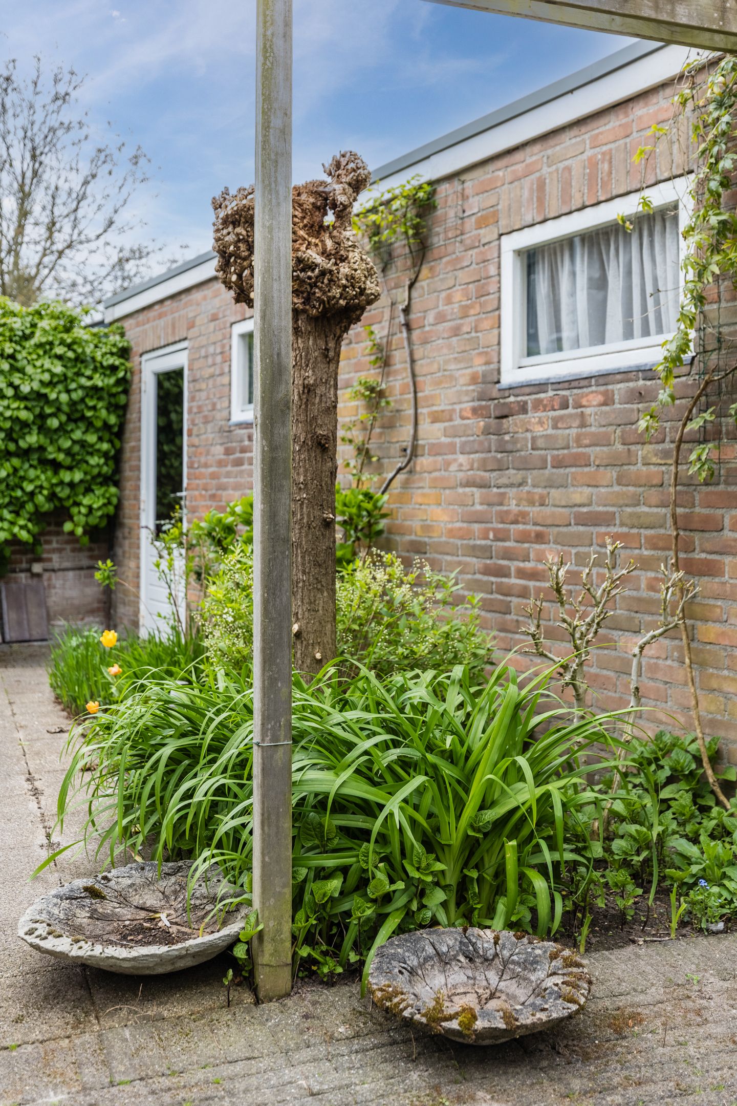 Foto 34 van De Kraan 21