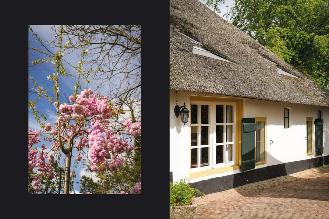 Foto 77 van Waaldijk 53